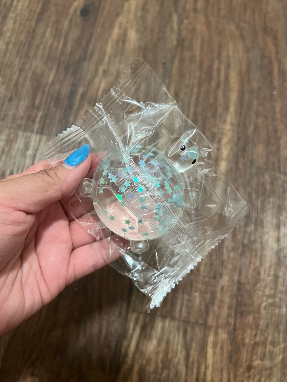 Clear Glitter Turtle Squishy 🐢✨